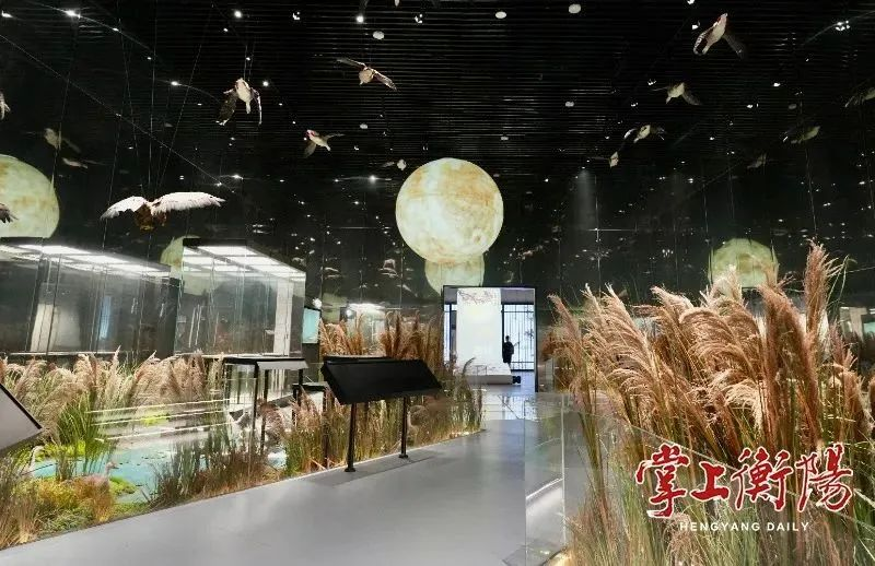 必赢亚洲·bwin(中国区)官方网站