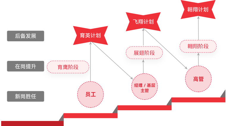 必赢亚洲 "雄鹰妄想"人才梯队作育